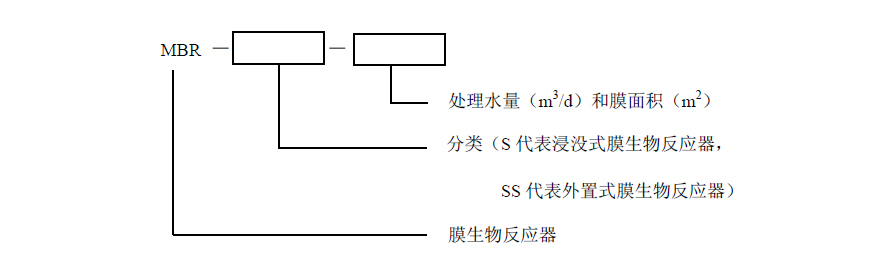 B-08.jpg